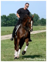 /album/lovas-fotok/a19-jpg1/