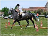 /album/lovas-fotok/a21-jpg/