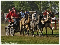 /album/lovas-fotok/a22-jpg/