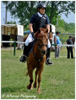 /album/lovas-fotok/a4-jpg2/