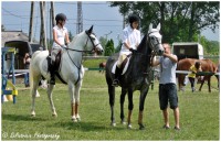 /album/lovas-fotok/a5-jpg/