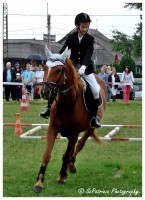 /album/lovas-fotok/a8-jpg1/