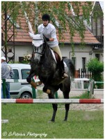 /album/lovas-fotok/a24-jpg/