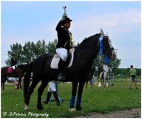 /album/lovas-fotok/a38-jpg/