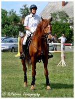 /album/lovas-fotok/a40-jpg/