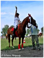 /album/lovas-fotok/a46-jpg1/