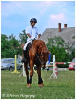 /album/lovas-fotok/a47-jpg/