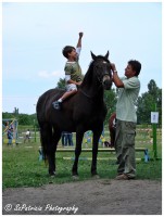 /album/lovas-fotok/a48-jpg/