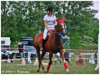 /album/lovas-fotok/a49-jpg1/