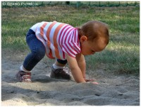 /album/baba-fotozas-luca-/a3-jpg2/