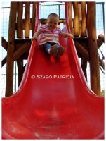 /album/baba-fotozas-luca-/a10-jpg1/