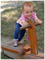 /album/baba-fotozas-luca-/a15-jpg1/